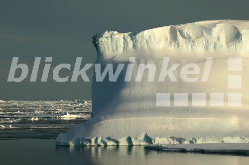 antarktischer Eisberg im Suedpolarmeer mit Eisschollen, Antarktis, Suedpolarmeer<BR>An Antarctic iceberg in the Southern Ocean on a nearly flat sea covered by ice floes, Antarctica, Southern Ocean - A. Rose antarktischer Eisberg im Suedpolarmeer mit Eisschollen, Antarktis, Suedpolarmeer<BR>An Antarctic iceberg in the Southern Ocean on a nearly flat sea covered by ice floes, Antarctica, Southern Ocean - A. Rose