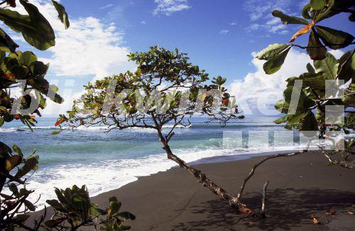 Strand am Pazifischen Ozean, Costa Rica<BR>beach at the Pacific Oecean, Costa Rica - W. Layer Strand am Pazifischen Ozean, Costa Rica<BR>beach at the Pacific Oecean, Costa Rica - W. Layer