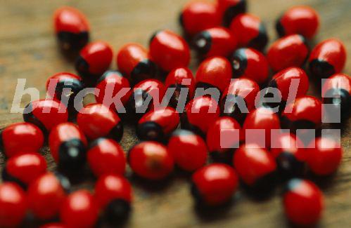 blickwinkel Abrusbohne, Kranzerbse, Paternostererbse (Abrus