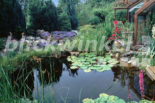 blickwinkel Gartenteich mit Wintergarten. garden pond with winter