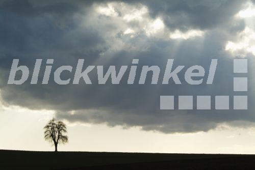 Odenwald singles