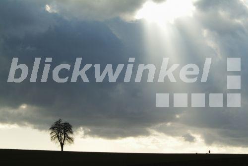 Odenwald singles
