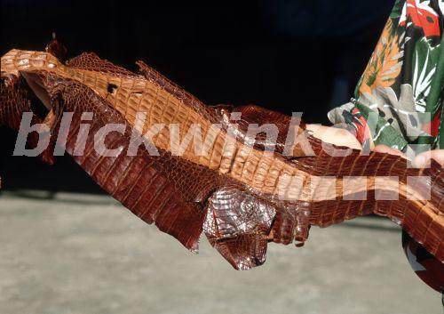 blickwinkel - Krokodil Leder Haut, vom Zoll beschlagnahmt - crocodile