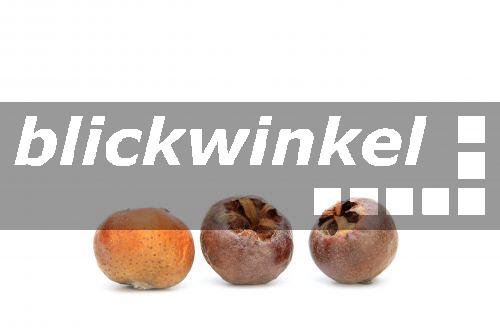 blickwinkel Deutsche Mispel, Echte Mispel, Mispel