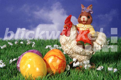 blickwinkel - Osterhase reitet auf einem Hahn - easter bunny riding a ...