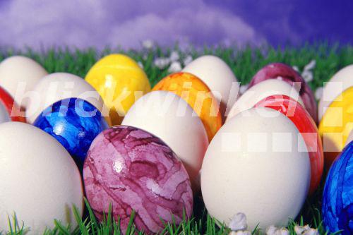 blickwinkel Huehnereier und bunt bemalte Ostereier blickwinkel Huehnereier und bunt bemalte Ostereier