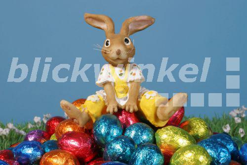 blickwinkel Osterhase sitzt auf Ostereiern easter blickwinkel Osterhase sitzt auf Ostereiern easter