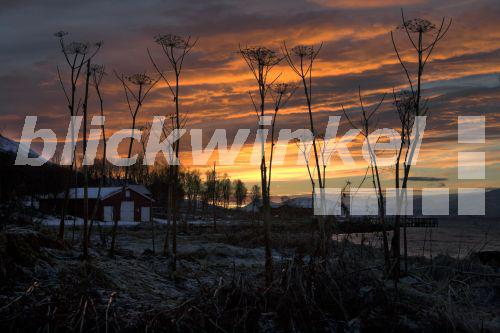 blickwinkel - Polarnacht, Norwegen, Tromsoe - polar night, Norway ...