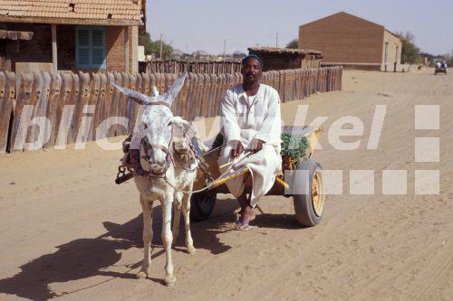 Blickwinkel Sudanese Auf Seinem Eselswagen Im Hintergrund Ein