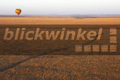 blickwinkel - Ballon-Safari, Kenia, Masai Mara ...