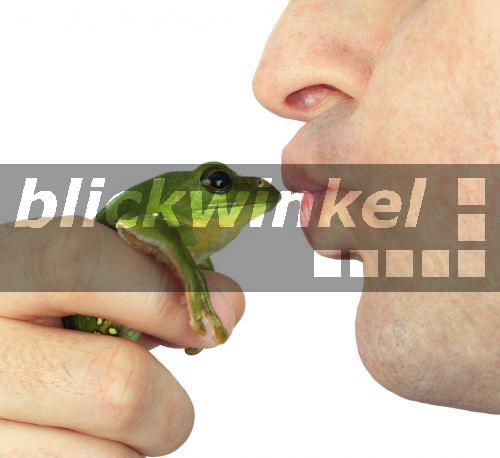 Frosch partnersuche