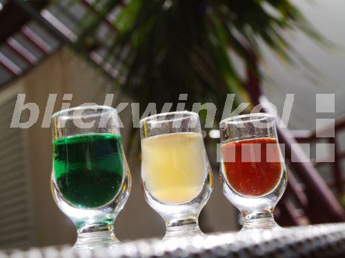 Eukalyptusschnaps, verschiedene Schnaepse, Portugal, Madeira, Curral das Freiras<BR>eucalyptus schnapps, diverse hard liqours, Portugal, Madeira, Curral das Freiras - K. Thomas Eukalyptusschnaps, verschiedene Schnaepse, Portugal, Madeira, Curral das Freiras<BR>eucalyptus schnapps, diverse hard liqours, Portugal, Madeira, Curral das Freiras - K. Thomas