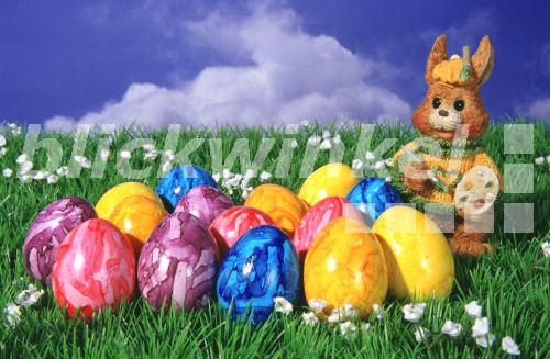 blickwinkel Osterhase bemalt Eier easter bunny blickwinkel Osterhase bemalt Eier easter bunny