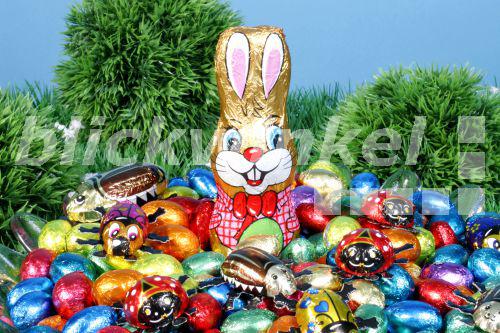 blickwinkel Osterhase mit Ostereiern Easter bunny with blickwinkel Osterhase mit Ostereiern Easter bunny with