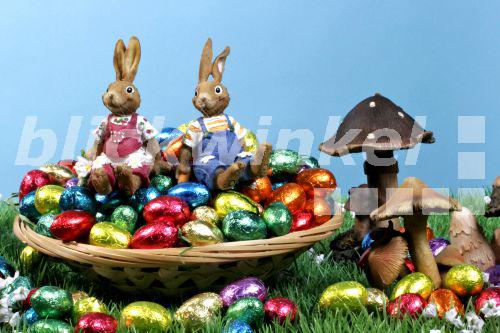 blickwinkel zwei Osterhasen sitzen auf Ostereiern two blickwinkel zwei Osterhasen sitzen auf Ostereiern two