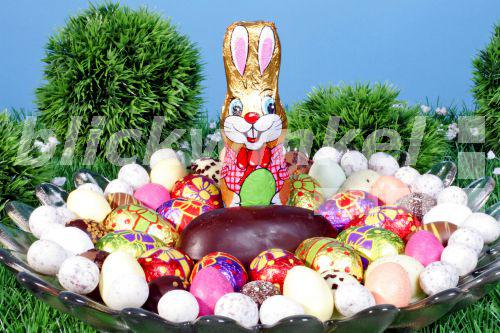 blickwinkel Osterhase mit Ostereiern Easter bunny with blickwinkel Osterhase mit Ostereiern Easter bunny with