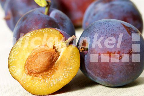 blickwinkel - Pflaume, Zwetschge (Prunus domestica), Fruechte 
