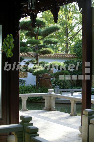 blickwinkel Chinesischer Garten in Muenchen Chinese garden in