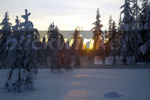 blickwinkel - Finnland, schoene Winterlandschaft - Finland ...