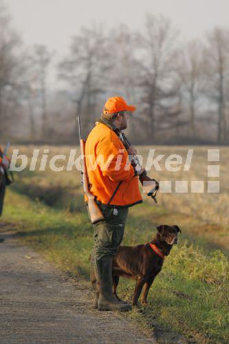 blickwinkel - Treibjagd-Schuetze mit Jagdhund, Deutschland, Niedersachsen - battue hunter in ...