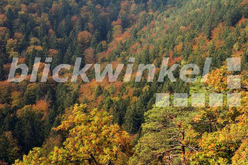 Blick ins Ilsetal, Deutschland, Sachsen-Anhalt, Ilsetal<BR>view in the valley from Ilse, Germany, Saxony-Anhalt, Ilsetal - H. J. Igelmund Blick ins Ilsetal, Deutschland, Sachsen-Anhalt, Ilsetal<BR>view in the valley from Ilse, Germany, Saxony-Anhalt, Ilsetal - H. J. Igelmund
