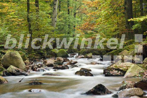 Wildbach Ilse, Deutschland, Sachsen-Anhalt, Ilsetal<BR>Ilse creek, Germany, Saxony-Anhalt, Ilsetal - H. J. Igelmund Wildbach Ilse, Deutschland, Sachsen-Anhalt, Ilsetal<BR>Ilse creek, Germany, Saxony-Anhalt, Ilsetal - H. J. Igelmund