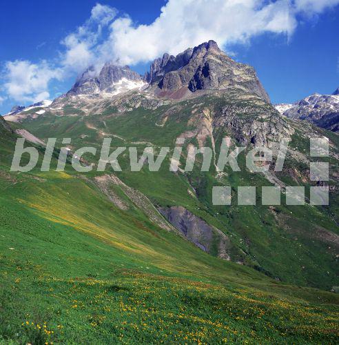 blickwinkel - Bergwiese im Hochgebirge, Schweiz, Alpen - montain meadow ...