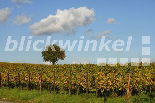 Singles landwirtschaft rheinland-pfalz