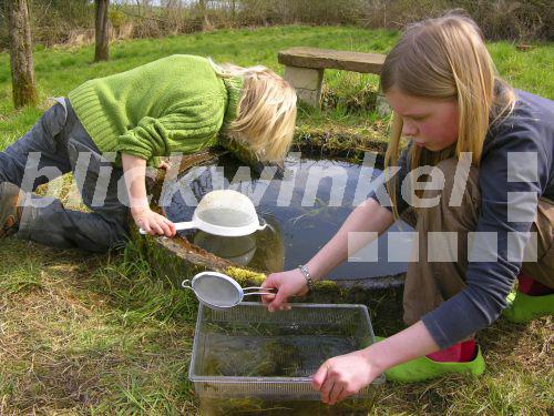 blickwinkel Kinder keschern und tuempeln an einem kleinen Teich im