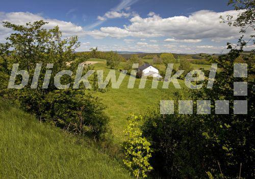 Single sauerland