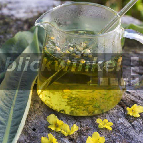 Bambus Sobna I Batenska Biljka Cveara Jelena